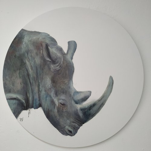 Rhino by Pilar Alvarez