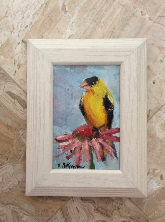 Yellow Bird In Garden