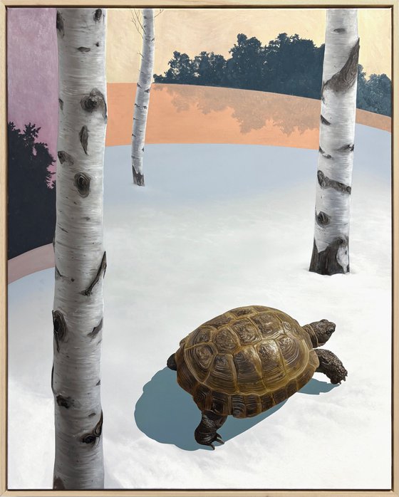 Can't See the Wood for the Trees