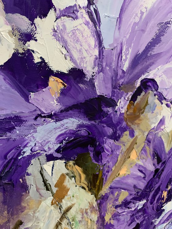 Lavender Breeze of irises.