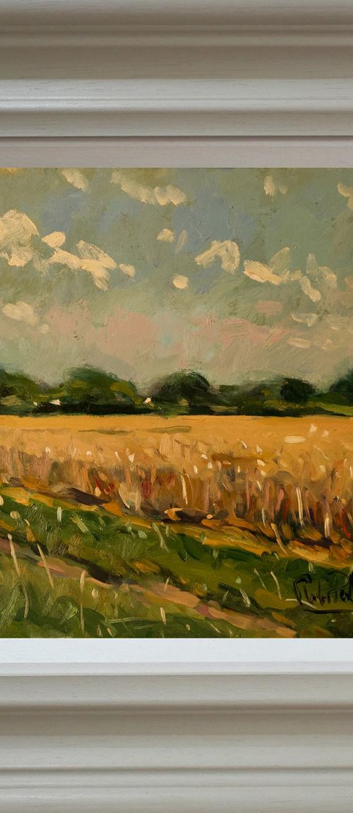 Golden Field by Andre Pallat