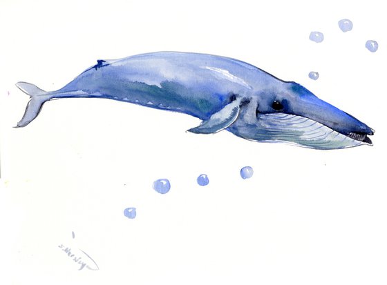 Blue Whale