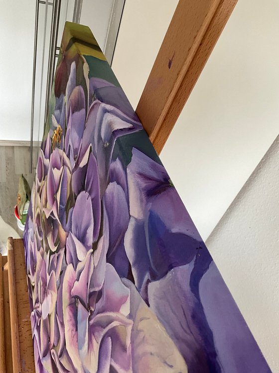 Hydrangea. Fragment.