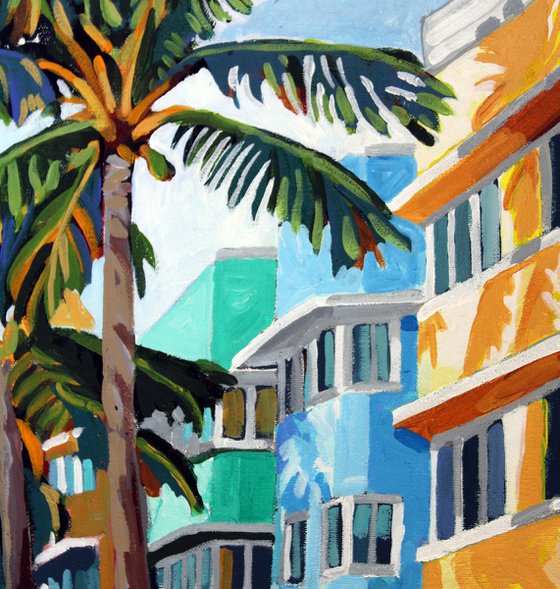 Palm Shadows