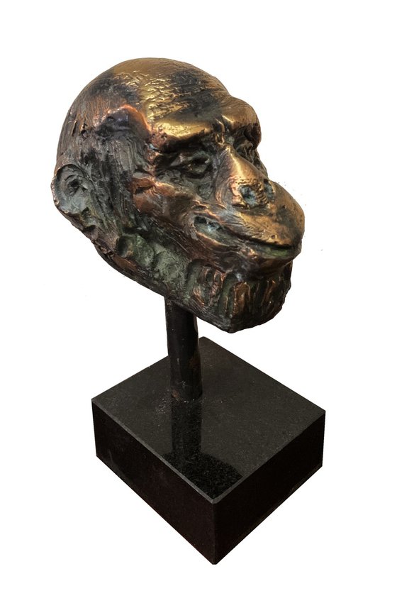 Monkey head