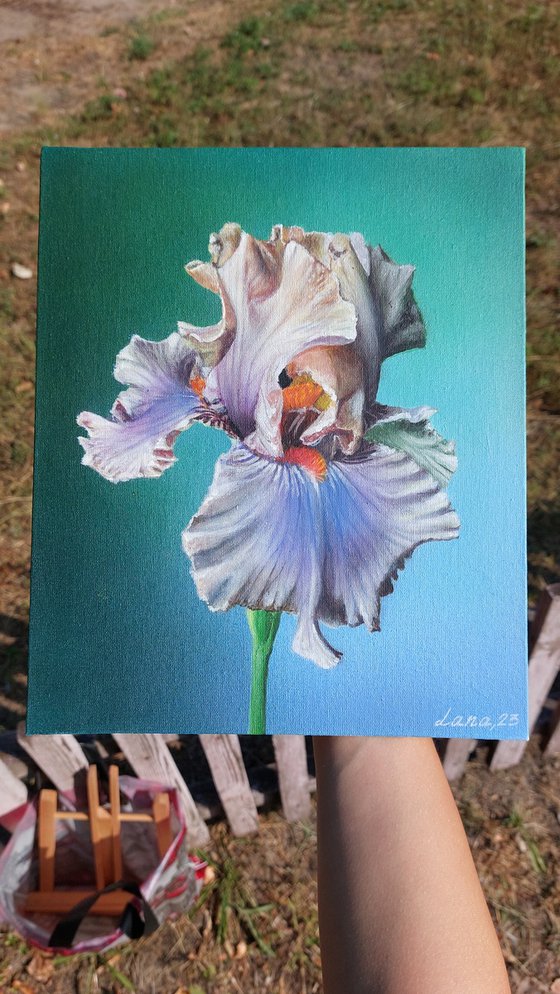 Iris painting,  realistic flowers art, irises flower painting, realistic art,  hyperrealism art