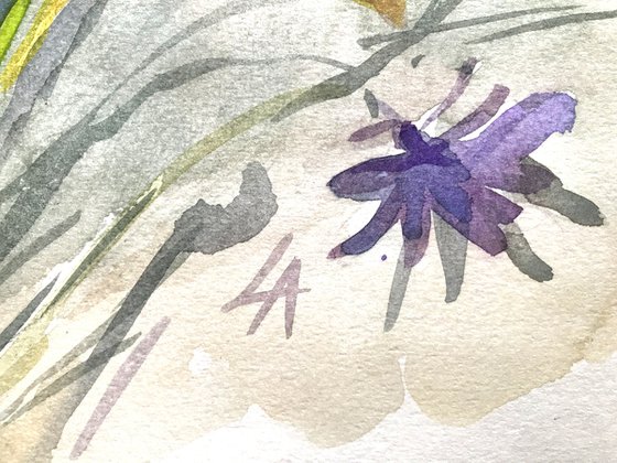 Summer field