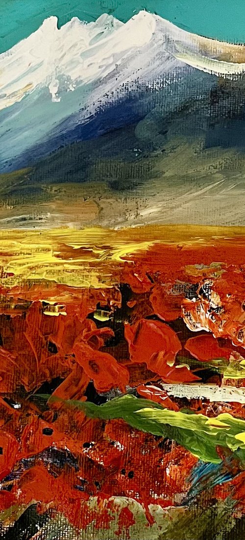 Fields of Fire and Ice by Vahe Bagumyan