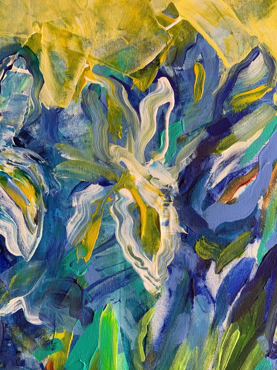 Iris field