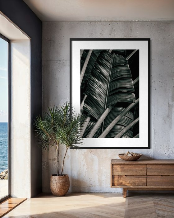 Jungle Fronds