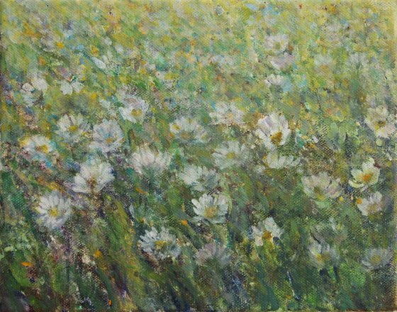Daisies - Marjetice, 2016, acrylic on canvas, 20 x 25 cm