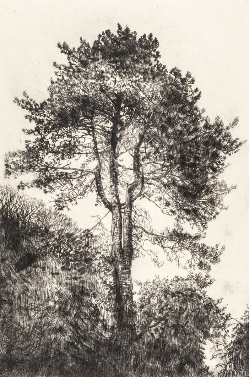 Impressionistic Landscape Etchings & Engravings By Fiona Hamilton, 18 X 25, Greville Smyth Pine, Original Artwork