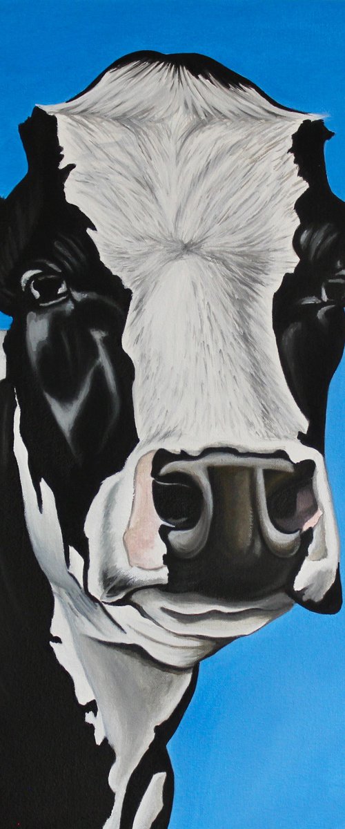 Cow Pi by Ryan Rice