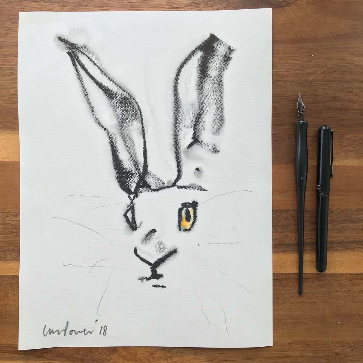 Hare #38 - simple drawing in ink by Luci Power