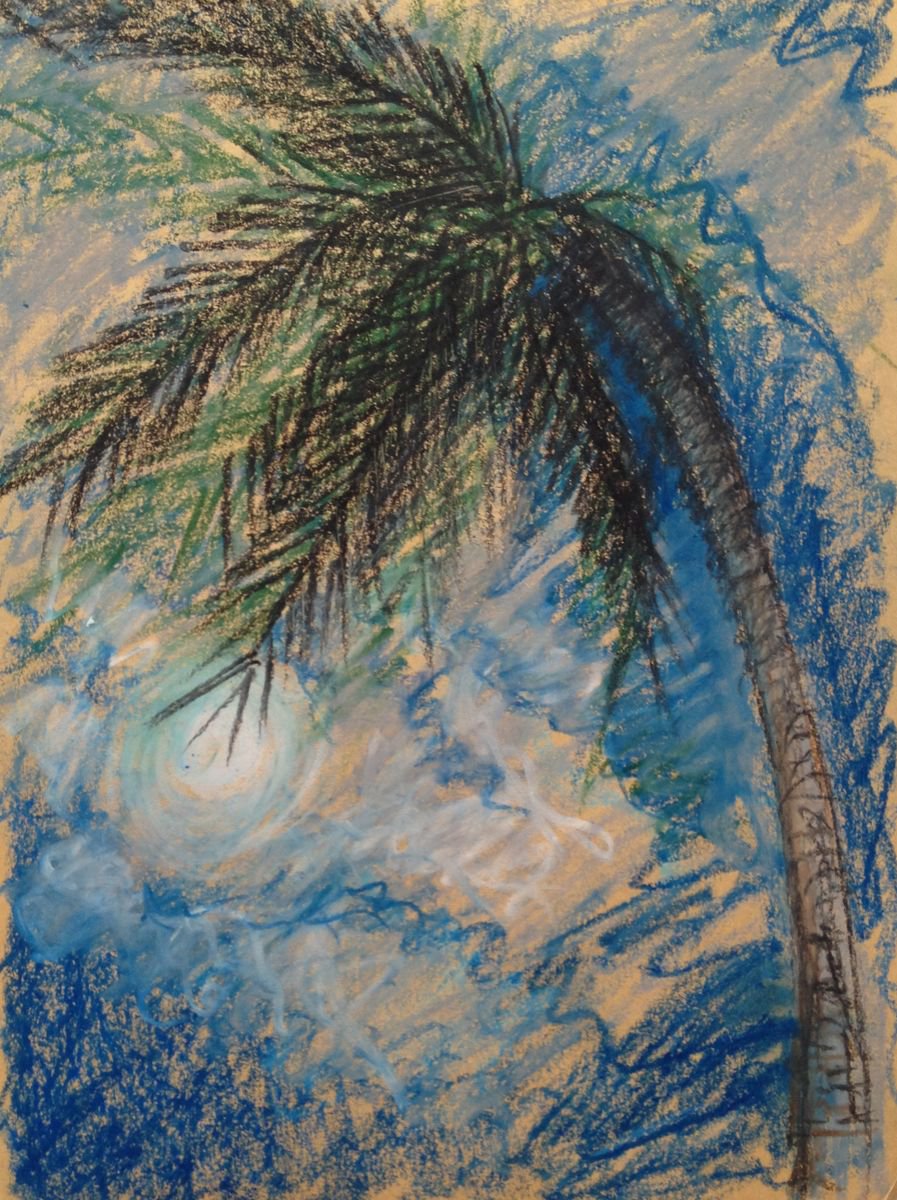 Palm Tree and Full Moon by David Lloyd