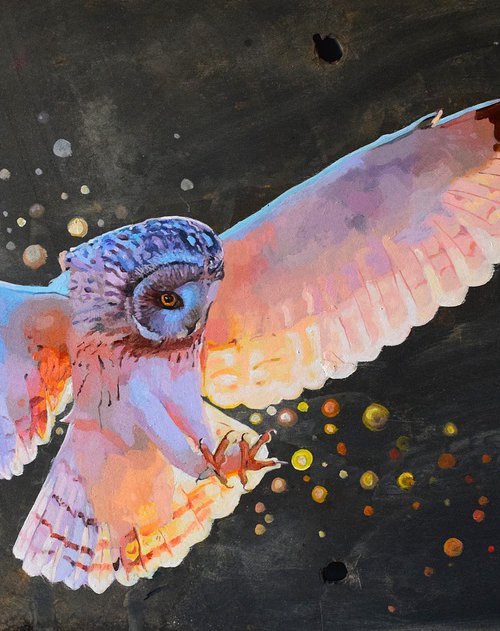 The Hunter by Abi Whitlock