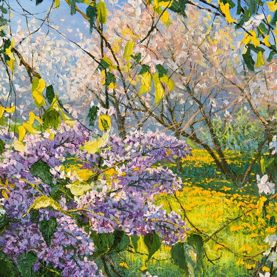 Lilac. Sunny Morning