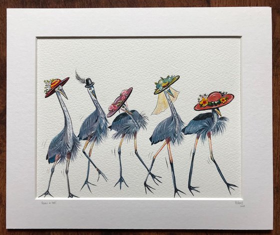 Herons in hats