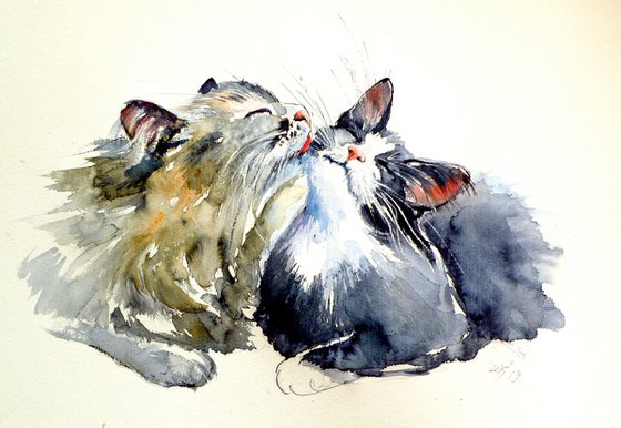 Cats