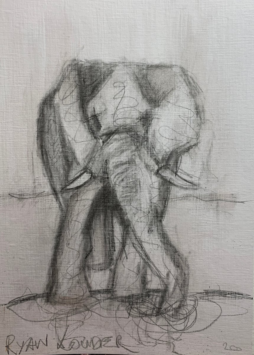 Elephant by Ryan  Louder