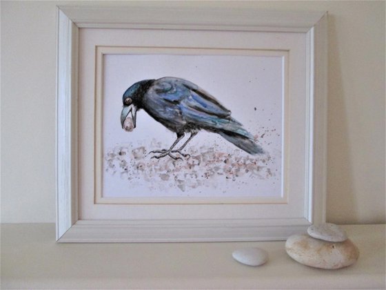 Crow with Pebble