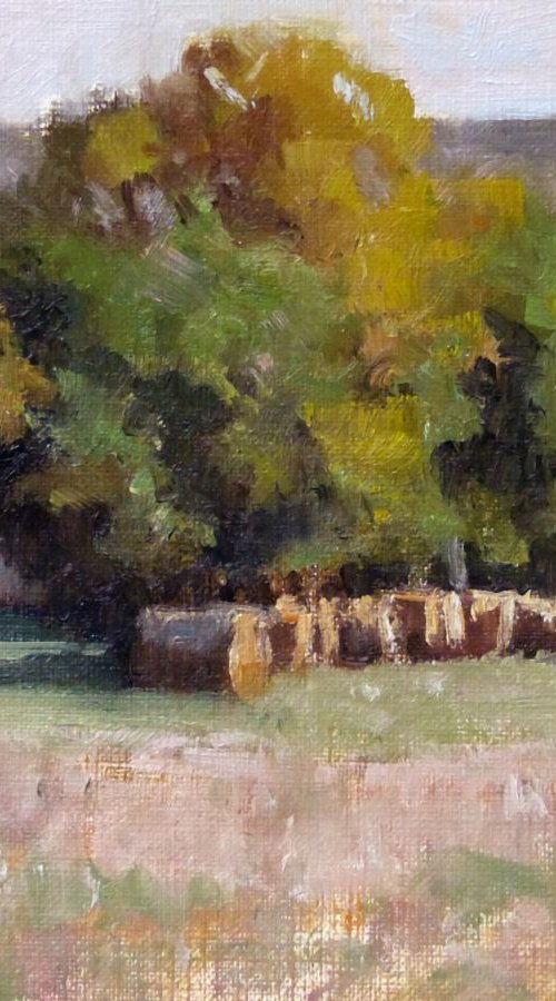 Hay Bales near Vilhosc by Pascal Giroud