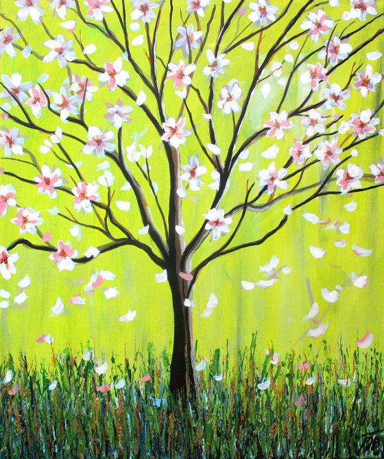 Magnolia Spring
