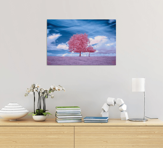 Two trees in infrared