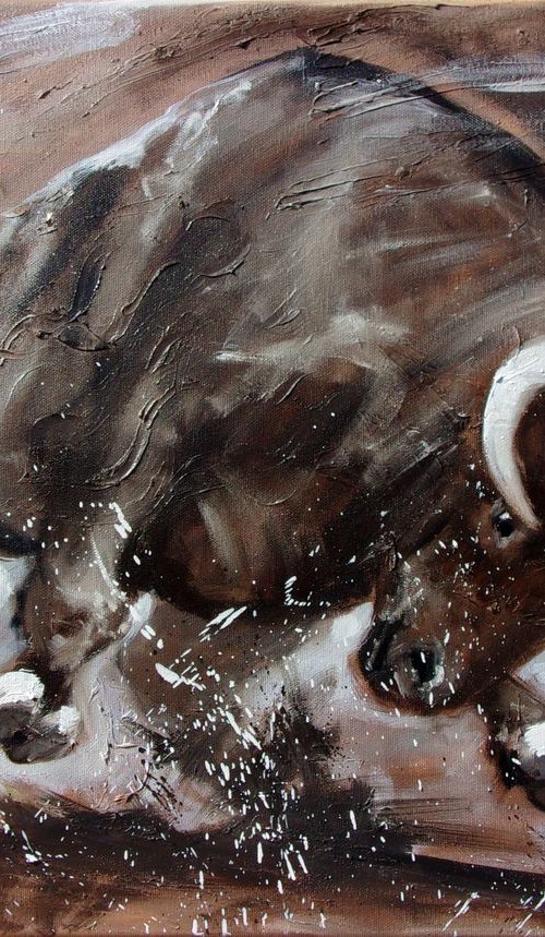 " WARRIOR ... " -  BULL original oil painting on canvas, gift,  PALETTE KNIFE TORRO hossa by Monika Luniak