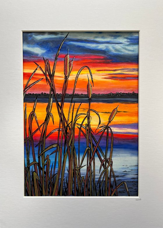 Fiery marsh sunset