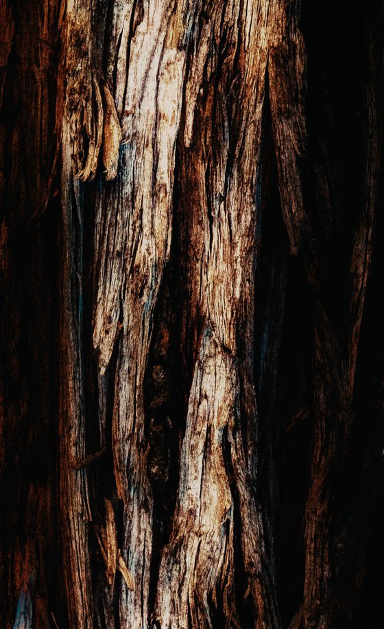 Lifeblood #48