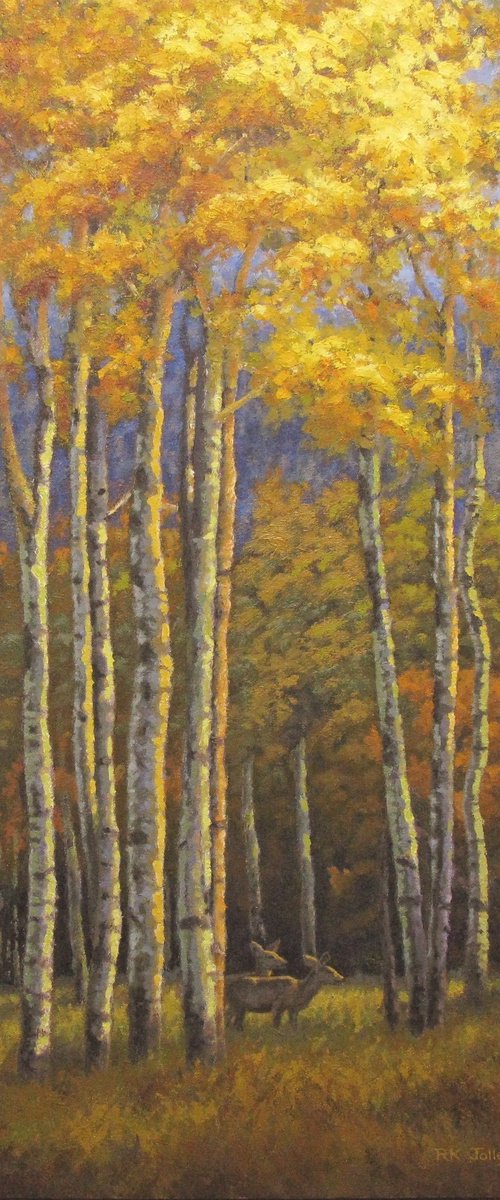 Quaking Aspens by Richard K. Jolley