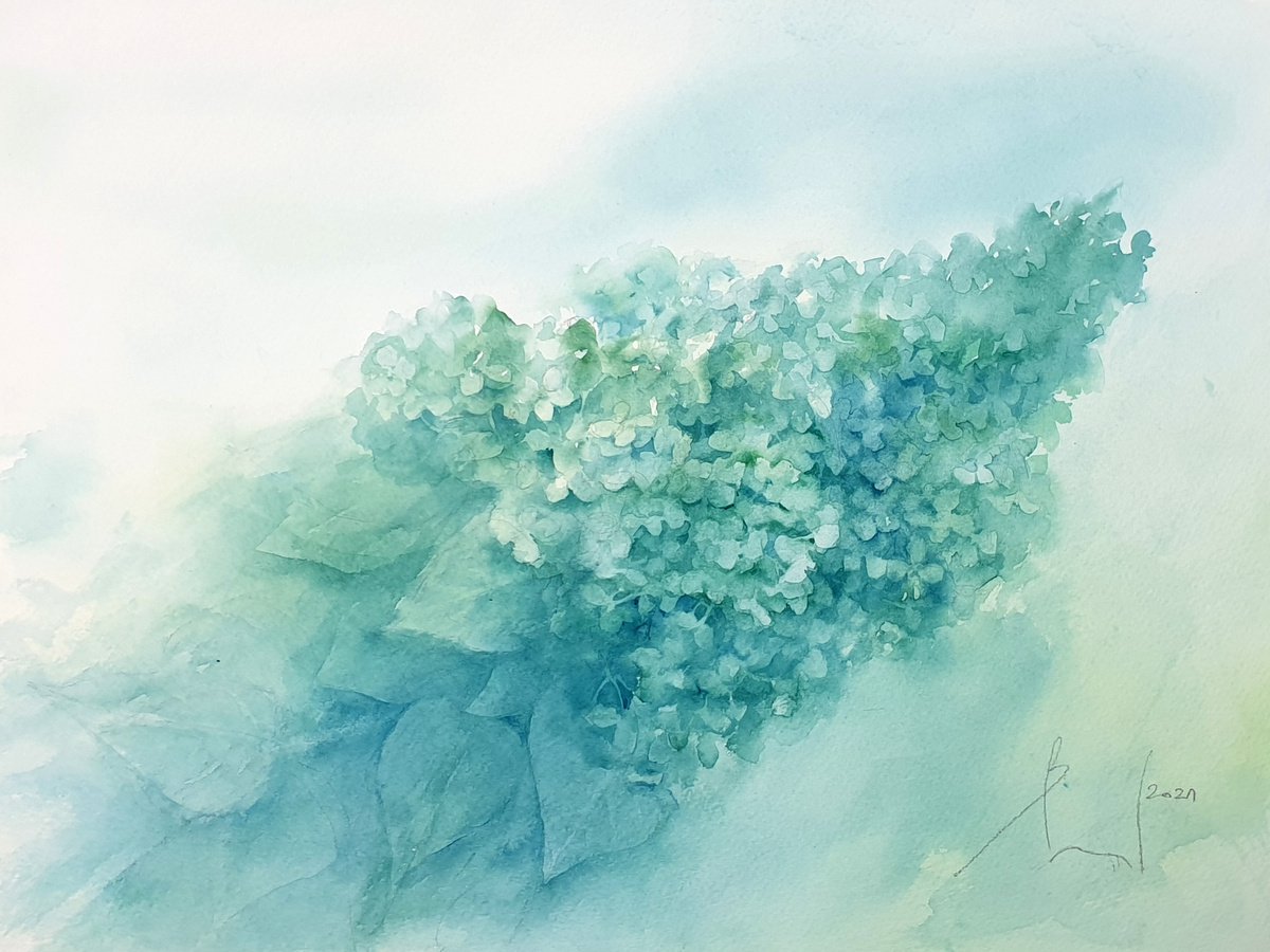 MAGICAL SWEET SUMMER . GREEN HYDRANGEA 2021.002 original watercolor 41X31 by Beata van Wijngaarden