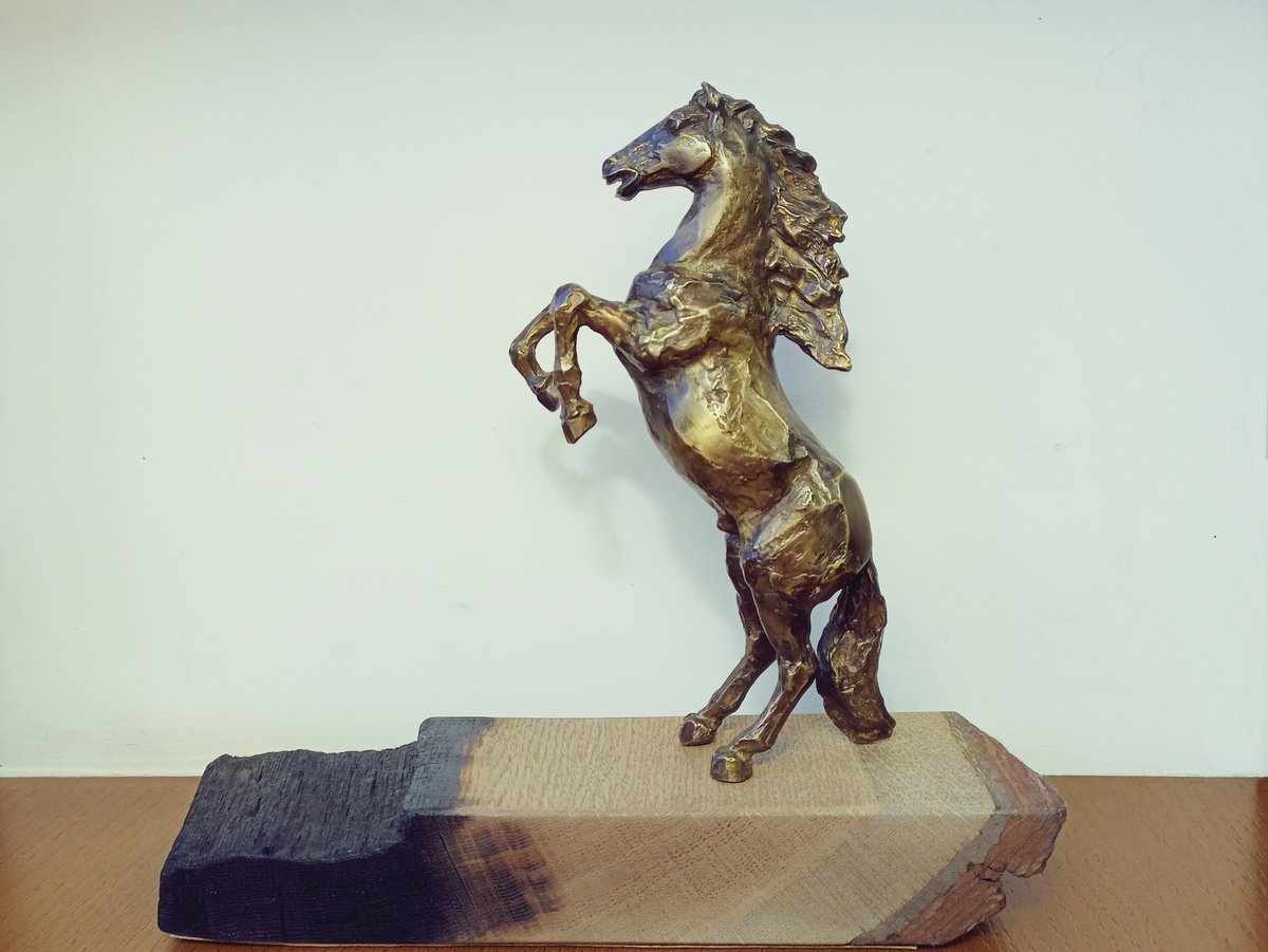 The Last Horse by Nikolay Nedev
