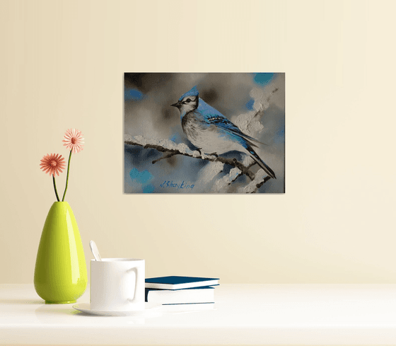 Blue Jay on Snowy Branch