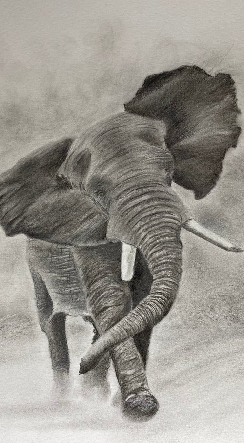 Running elephant by Maxine Taylor