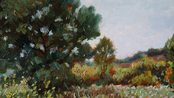 The Wildflower Rhapsody