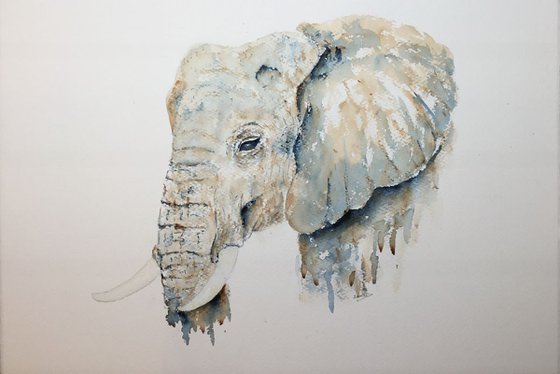 Elephant portrait