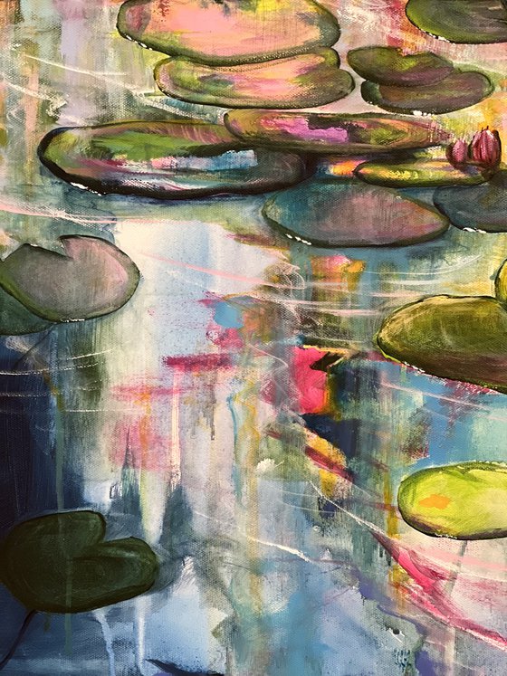 Water Lilies 5