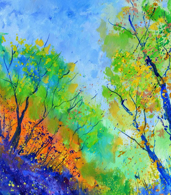 Light in the woode 5624