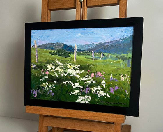 Flowering Mountain Fields