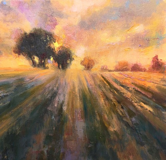 Fields of Gold