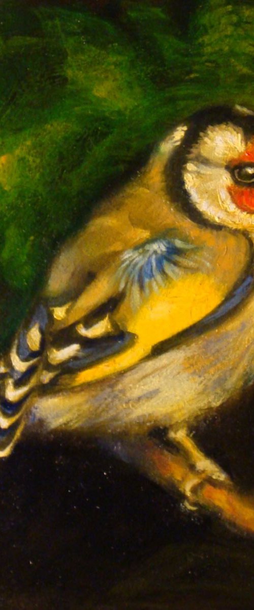 Goldfinch by Michael Mullen