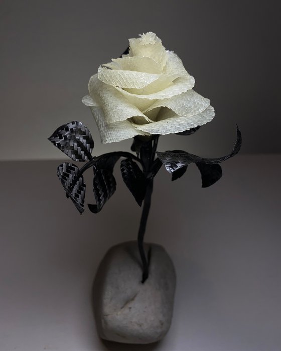 Perseverance finds a way