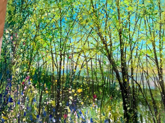 Bluebells at Sunset