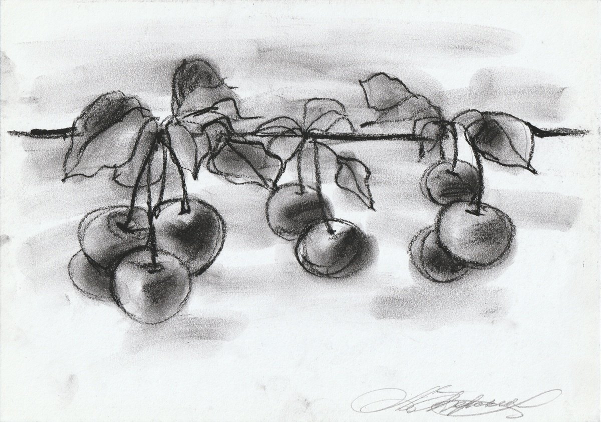 Botanical Charcoal Drawing By Anastasia Terskih, 12 X 8, Cerasus, Original Artwork