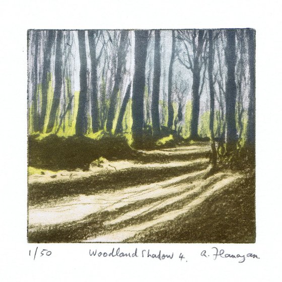 Woodland Shadow 4