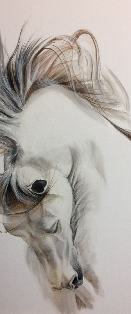 Horse by Eka Peradze