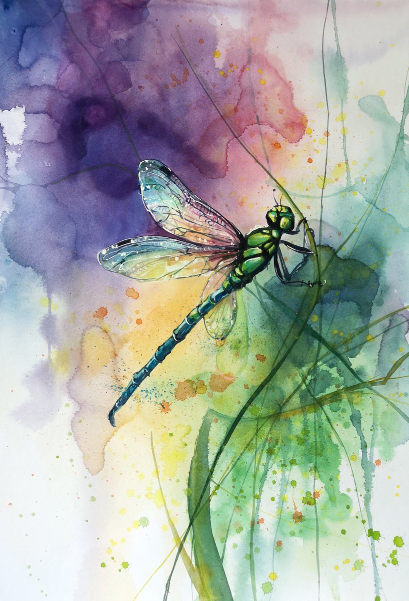 Dragonfly on Blade of Grass - abstract - abstract painting - watercolor by Olga Beliaeva Watercolour