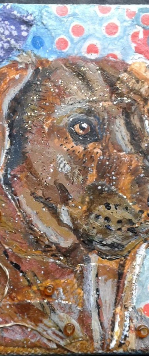 Rhodesian Ridgeback Dog by Fiona Plaisted